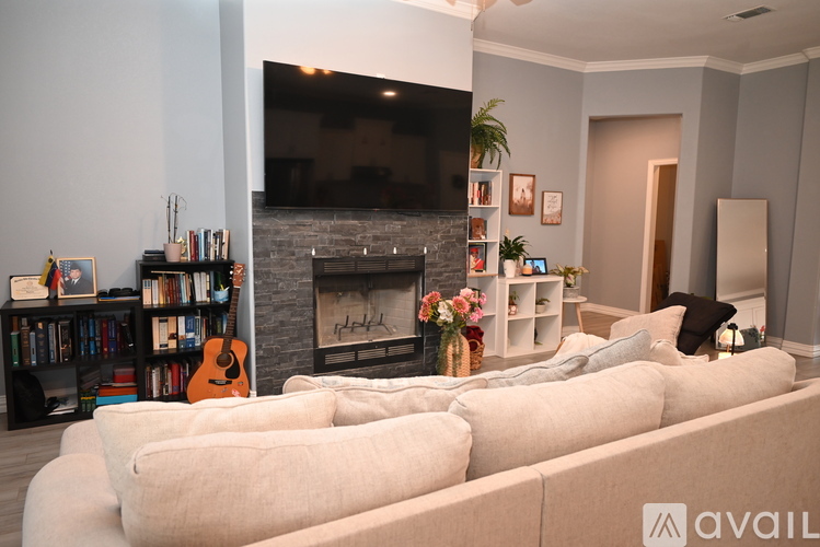 A living room with a fireplace, a television, and a bookshelf.