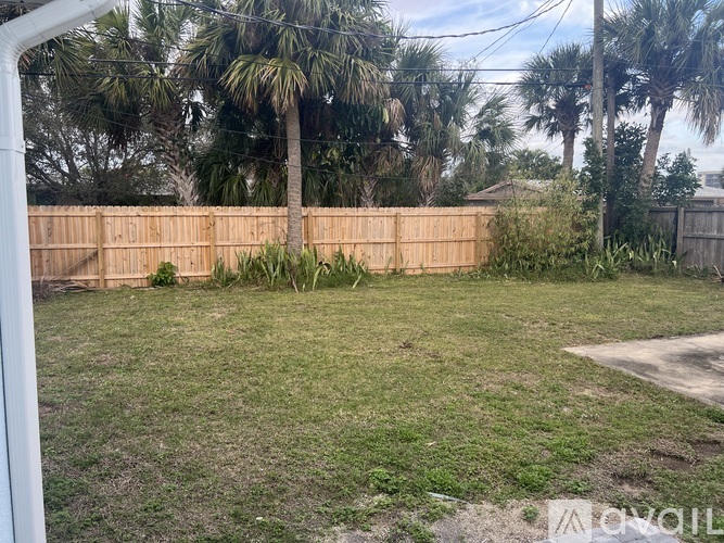 A backyard with a wooden fence and palm trees.