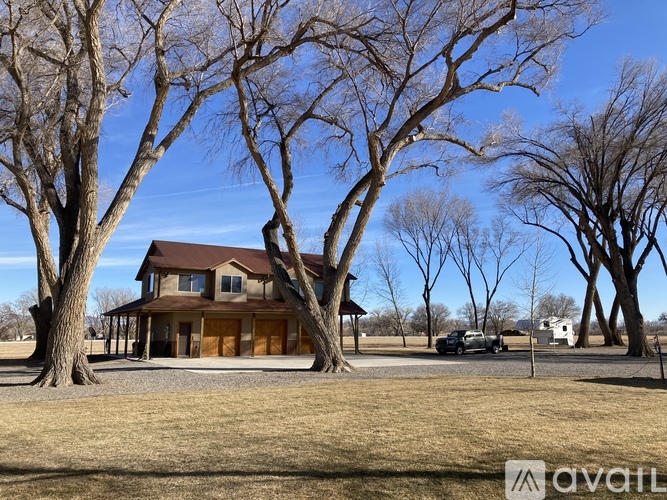 A house with a brown roof is surrounded by bare trees.