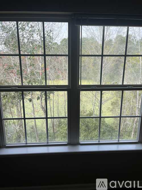 A window with a view of trees and a grassy area outside.