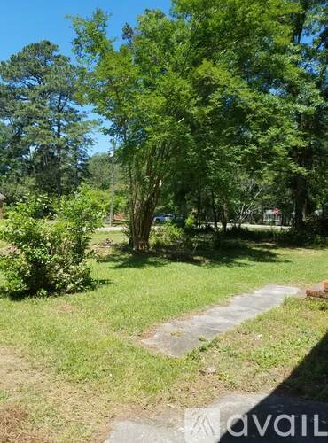 A lush green garden with a clear blue sky.