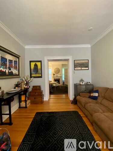 A living room with a brown couch and a black rug.
