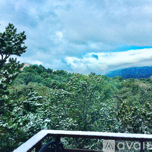 A view from a balcony overlooking a lush green forest.