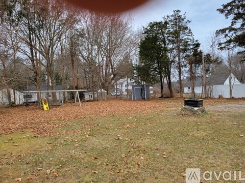 A backyard with a shed and trees.