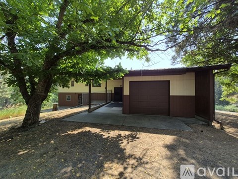 A tree is in front of a two-story house with a garage.