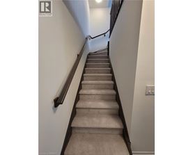 A staircase with a beige carpeted runner and black handrails.