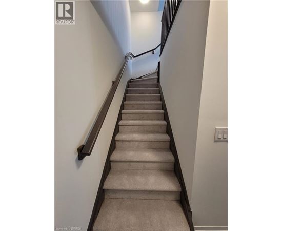 A staircase with a beige carpeted runner and black handrails.