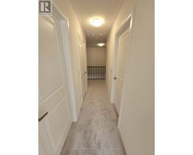 A long hallway with white doors and a carpeted floor.