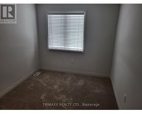 A room with a window and a brown carpet.