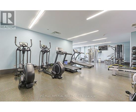 A gym with a variety of equipment including treadmills, elliptical machines, and weight machines.