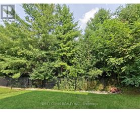 A lush green yard with trees and a fence.