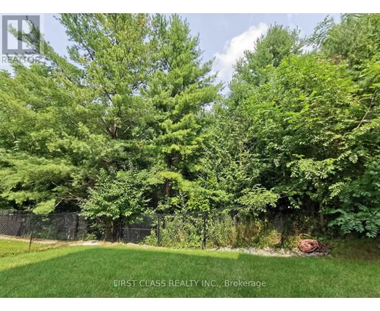 A lush green yard with trees and a fence.