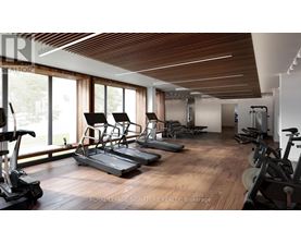 A gym with treadmills, elliptical machines, and other exercise equipment.