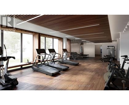 A gym with treadmills, elliptical machines, and other exercise equipment.