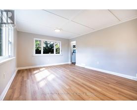 A room with wooden flooring and a window showing trees outside.