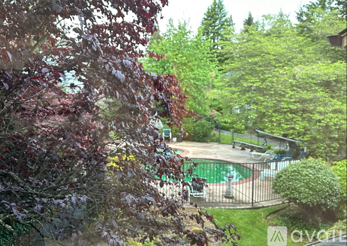 A backyard with a pool and trees.