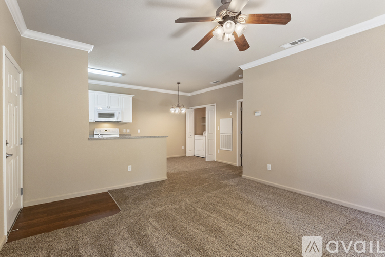 A spacious room with a ceiling fan and carpeted floor.