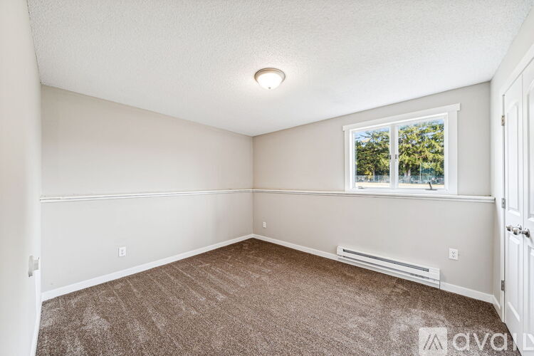 A room with a carpeted floor, a window, and a door.