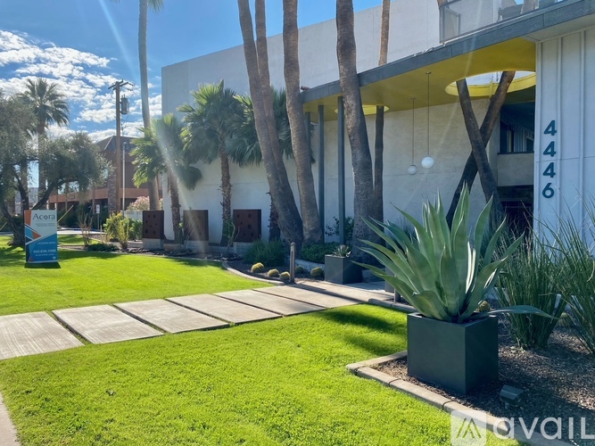 A sunny day at the front of a building with palm trees and a sign that says "ACC".