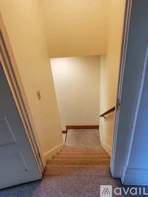 A stairway with a carpeted runner and wooden handrail.