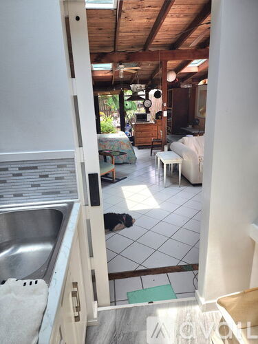 A kitchen with a sink and a dog on the floor.