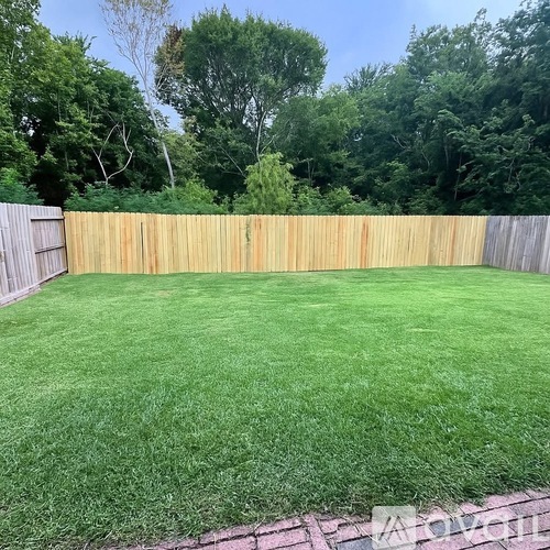 A backyard with a wooden fence and green grass.