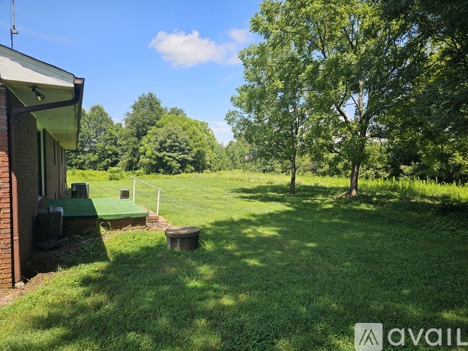 A backyard with a green lawn and a tree.