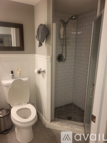 A bathroom with a toilet, a mirror, and a shower.