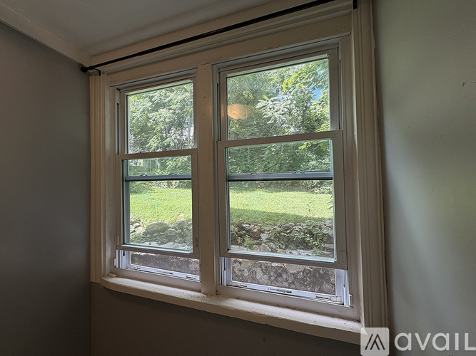A window with a view of a garden outside.
