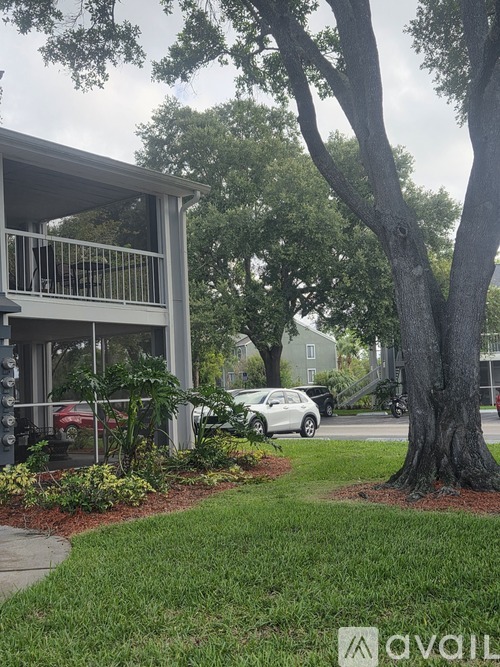 A tree in front of a building with a car parked in the driveway.