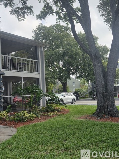 A tree in front of a building with a car parked in the driveway.