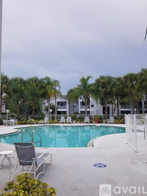 A pool surrounded by palm trees and chairs.