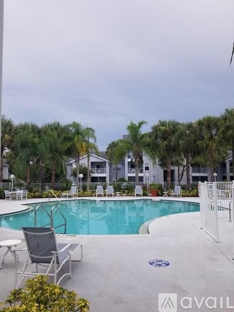 A pool surrounded by palm trees and chairs.