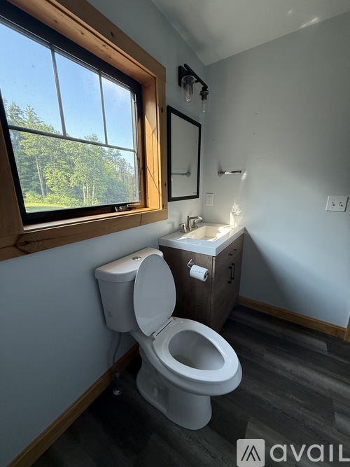 A bathroom with a toilet, sink, and window.