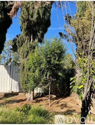 A garden with a fence and trees.