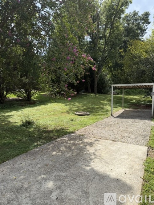 A concrete walkway leads through a lush green garden.
