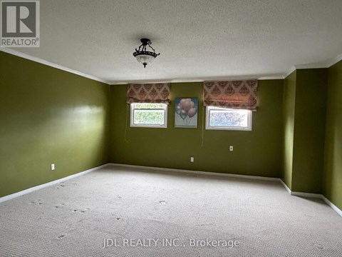 A room with green walls and a carpeted floor.