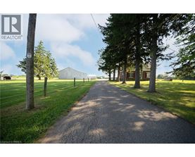 A gravel road with trees on both sides.