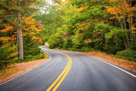 Scenic autumn fall road at Lambert Woods North, Maine, 04103