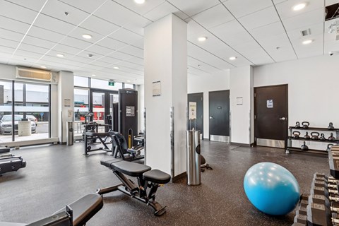 A gym with a blue ball and a bench.