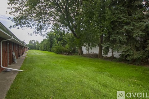 A grassy yard with trees and a building in the background.