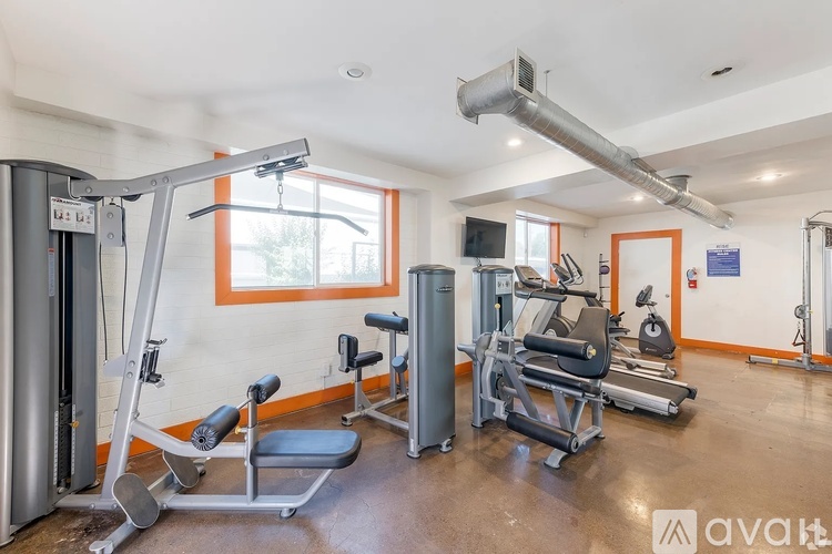 A gym with a variety of equipment including a treadmill, weights, and a bench press.