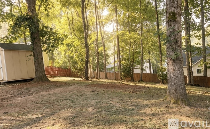A backyard with a shed and trees.