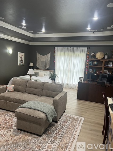 A living room with a grey couch and a rug.