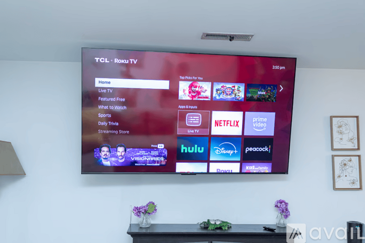 A TCL Roku TV screen displaying various streaming services.