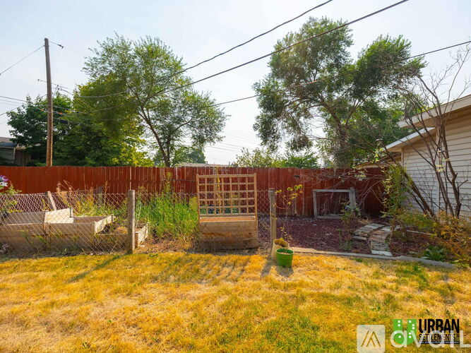 A backyard with a fence, grass, and trees.