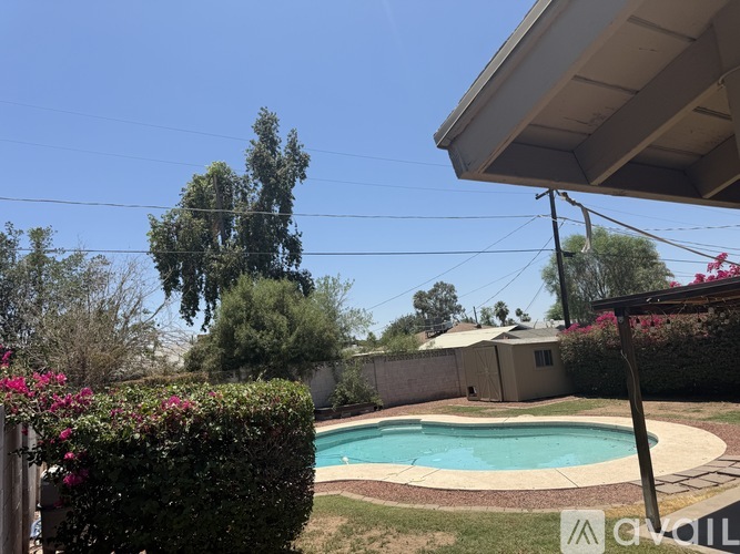 A pool surrounded by a hedge and a house in the background.