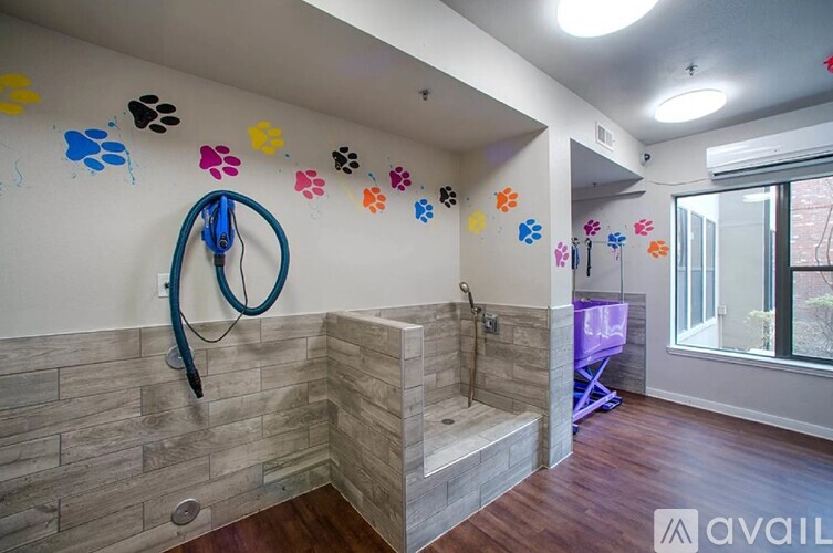 A bathroom with a shower and a window.