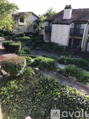 A white house with a black balcony is surrounded by green plants.