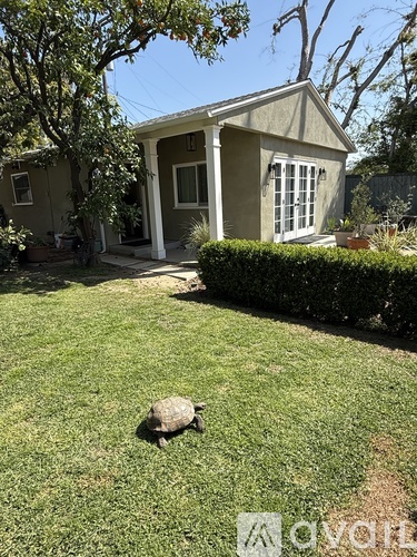 A turtle is walking on a green lawn in front of a house.